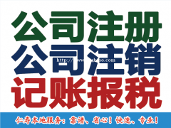 公司注册 变更 注销 记账报税